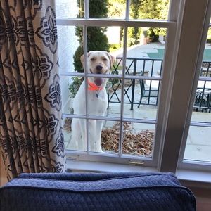 Meet your Posher, Charles